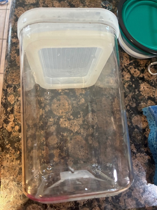 Container store Other - Container Store spice containers